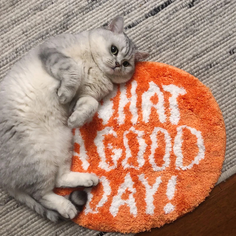 Orange Flocking Floor Rug What - Home Goods Bathroom Rugs บทวิจารณ์และราคา