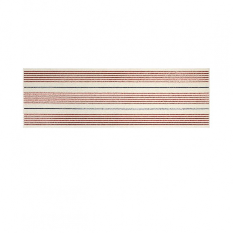 VIKAMA Korean Minimalist Strip - Zara Home Bathroom Rug บทวิจารณ์และราคา